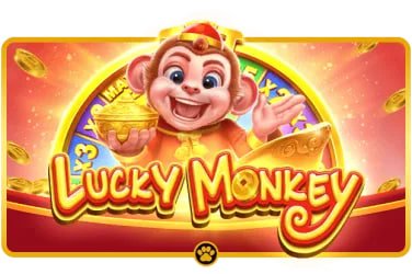 200cuci